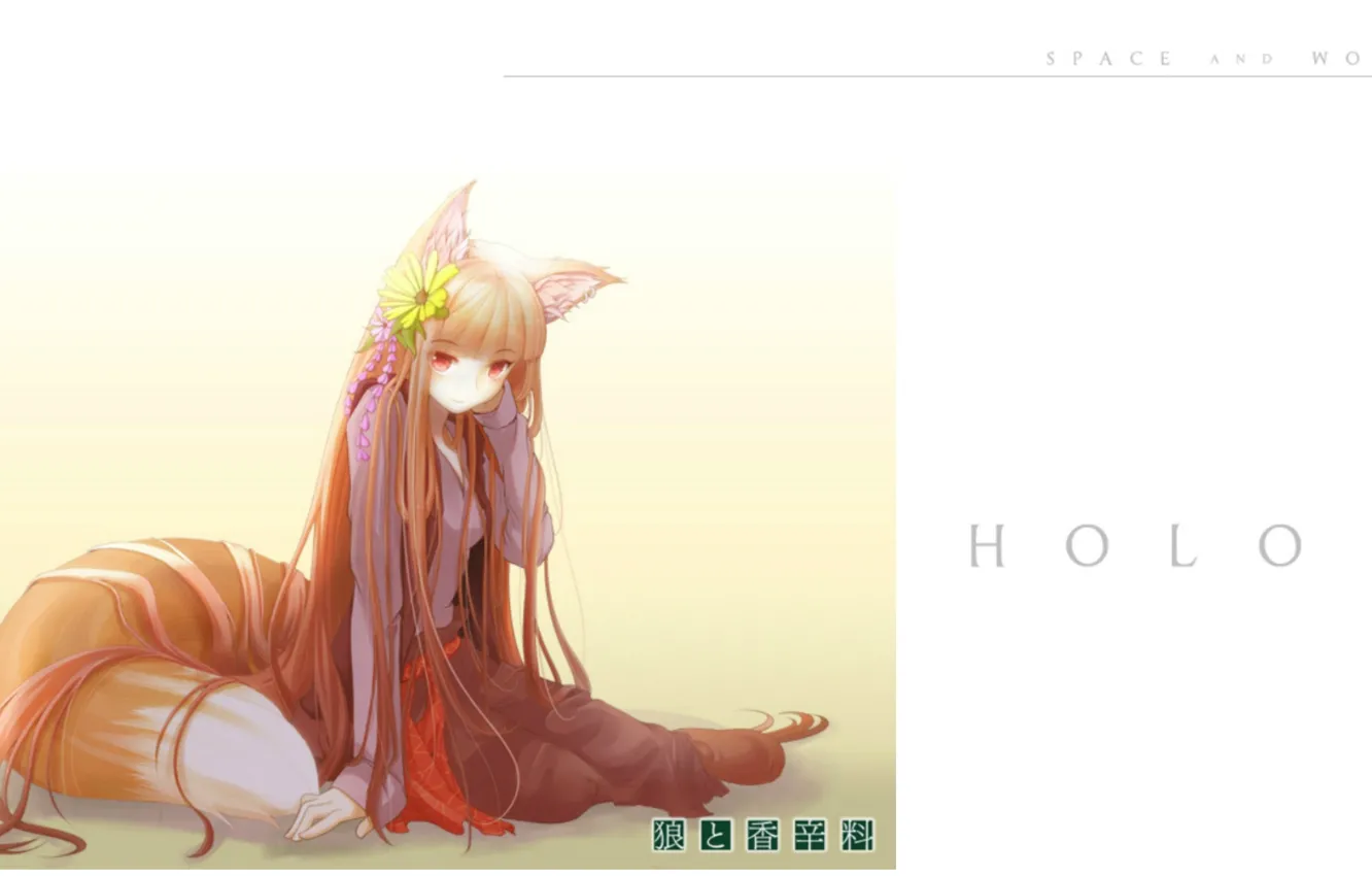 Photo wallpaper flower, tail, white background, red, sitting, ears, long hair, Spice and wolf
