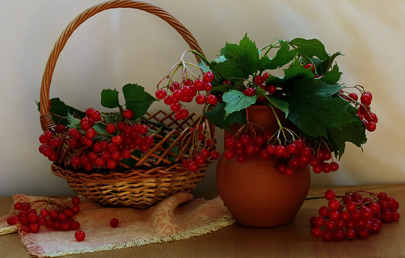Photo wallpaper autumn, berries, still life, Kalina