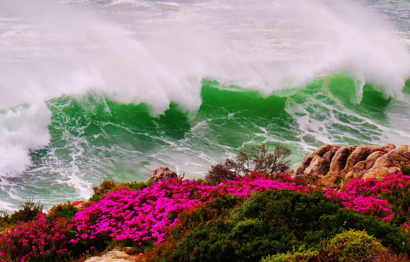 Photo wallpaper sea, wave, flowers, storm, rocks, shore
