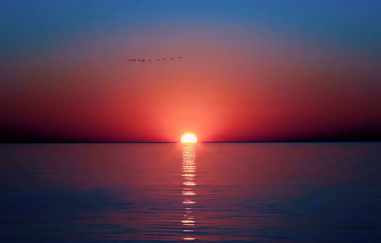 Photo wallpaper sea, the sky, the sun, sunset, birds, reflection