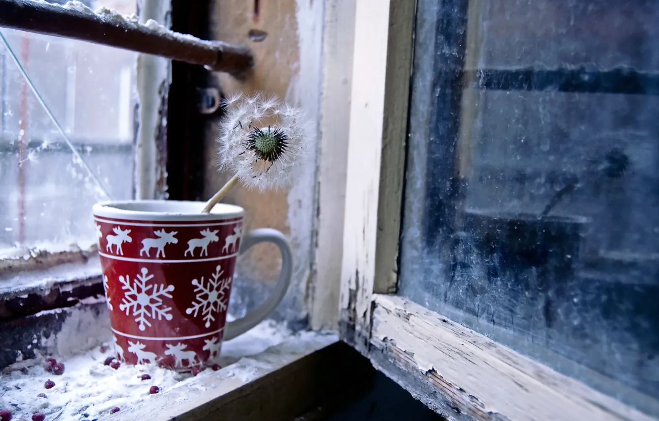 Photo wallpaper dandelion, window, Cup