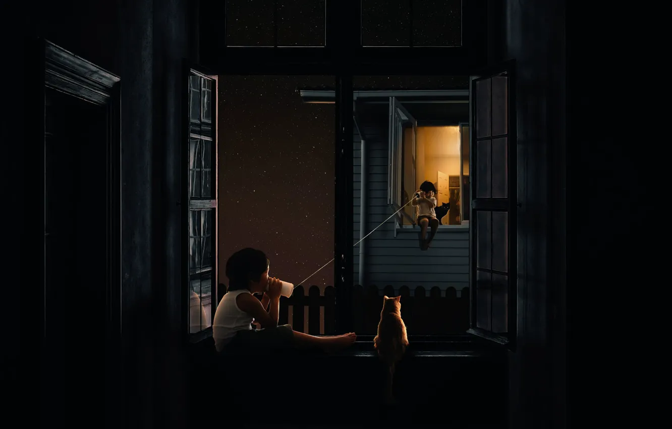 Photo wallpaper cat, cat, stars, light, night, children, childhood, glass