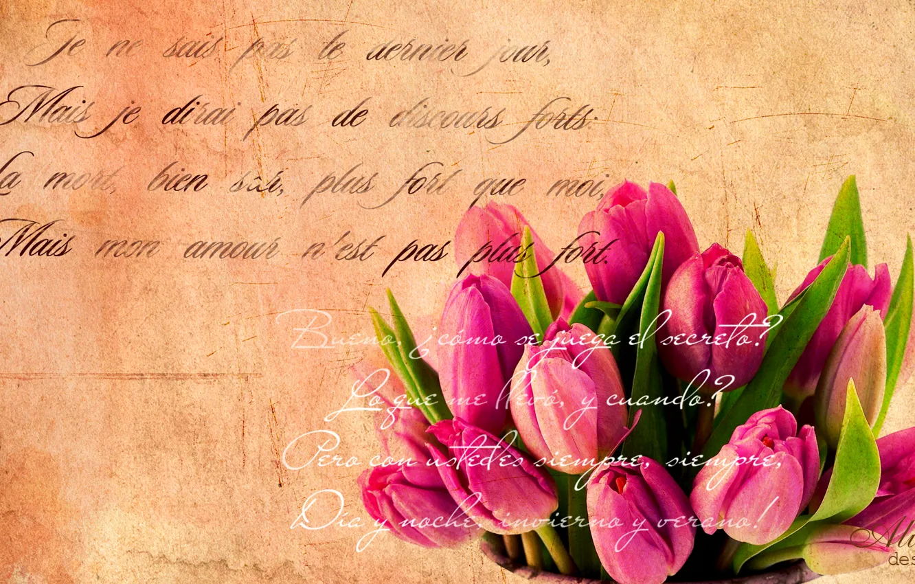 Photo wallpaper text, retro, tulips, grunge