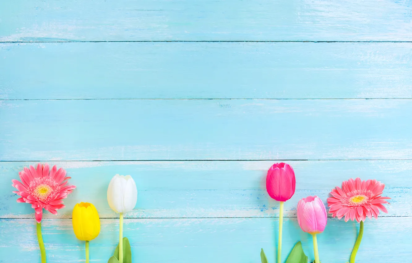 Photo wallpaper flowers, spring, colorful, tulips, gerbera, wood, flowers, tulips