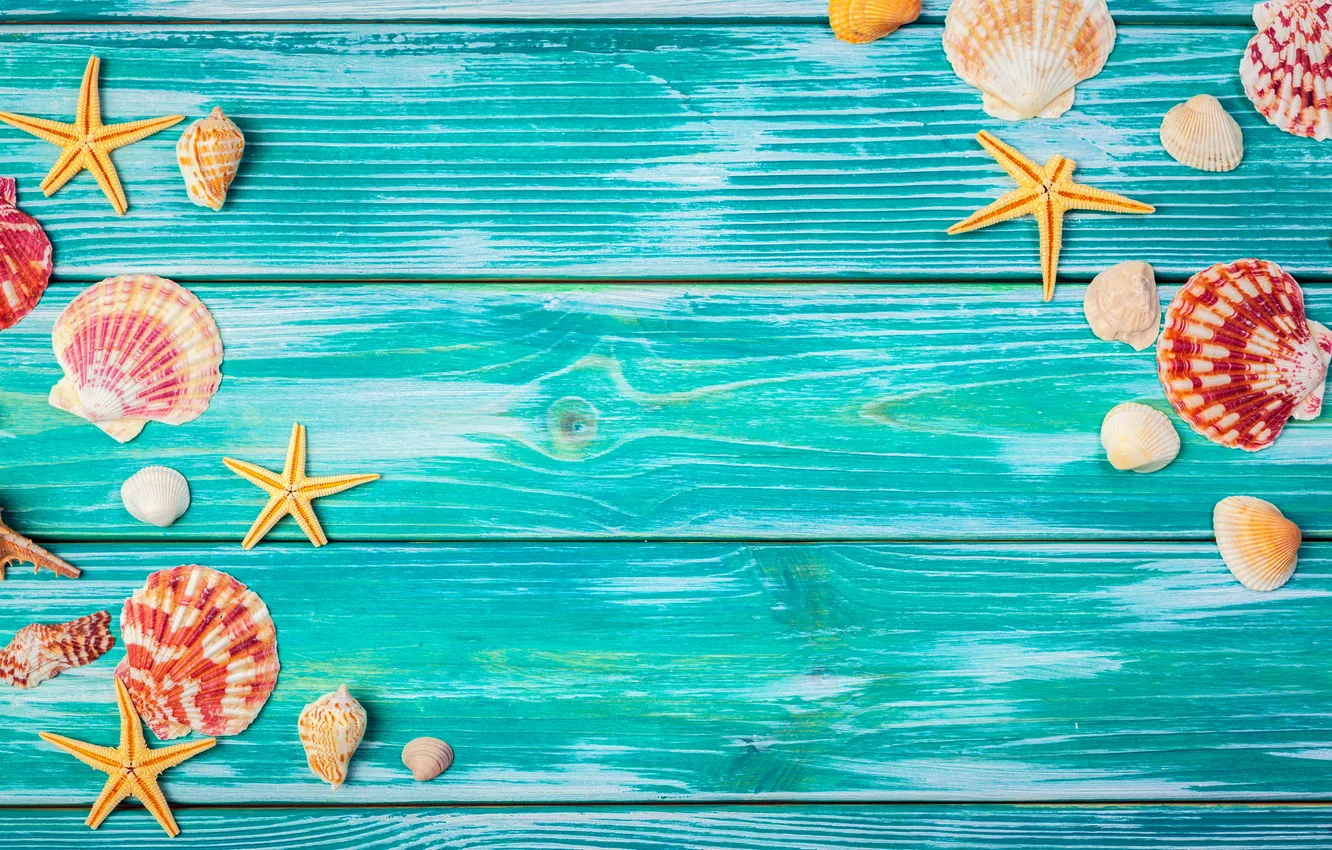 Photo wallpaper beach, summer, stars, shell, summer, beach, wood, stars
