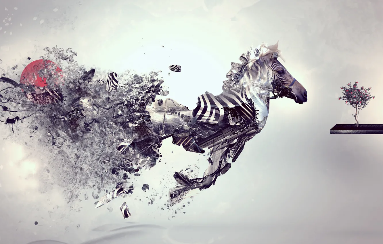Photo wallpaper style, creative, grey, Wallpaper, Zebra, wallpaper, style, grey