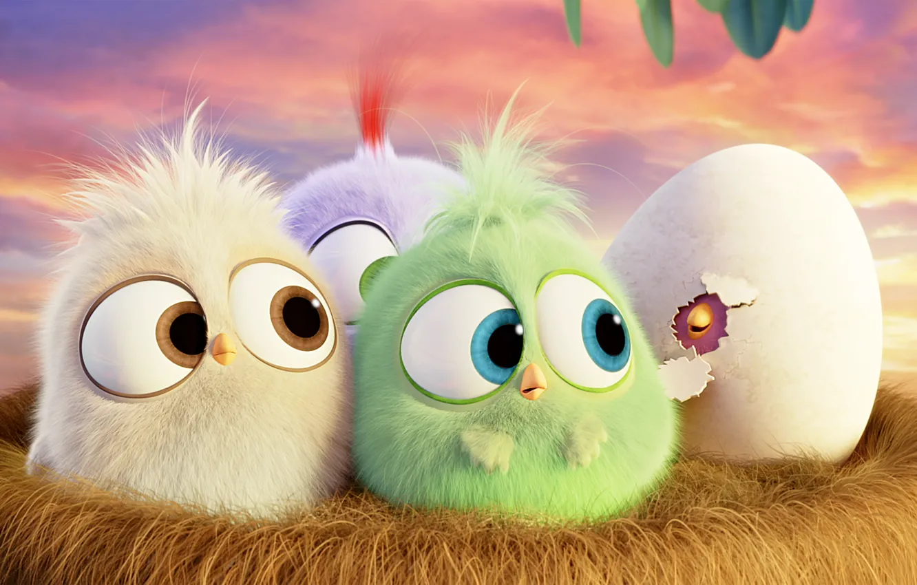 Photo wallpaper cartoon, eggs, socket, bird, Hatchlings Angry Birds