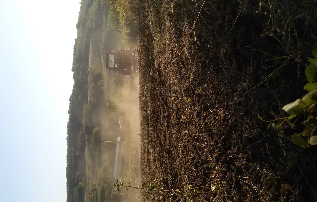 Photo wallpaper forest, hills, agriculture
