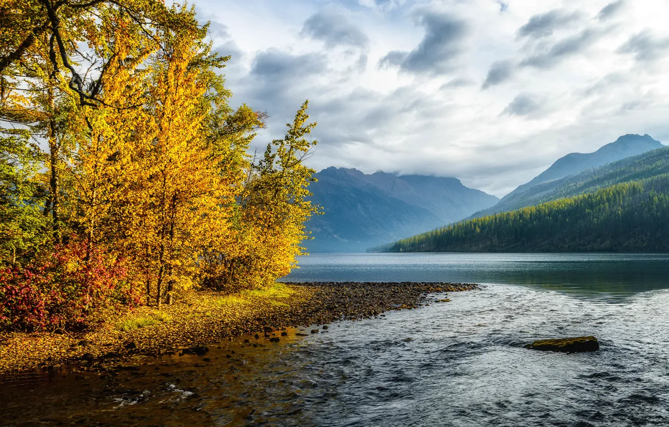Photo wallpaper autumn, forest, the sky, leaves, water, clouds, trees, mountains