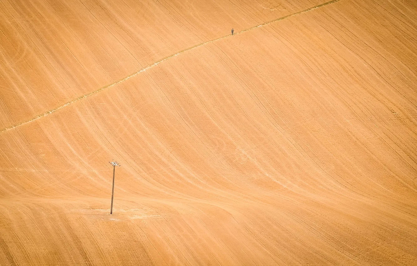Photo wallpaper road, field, people