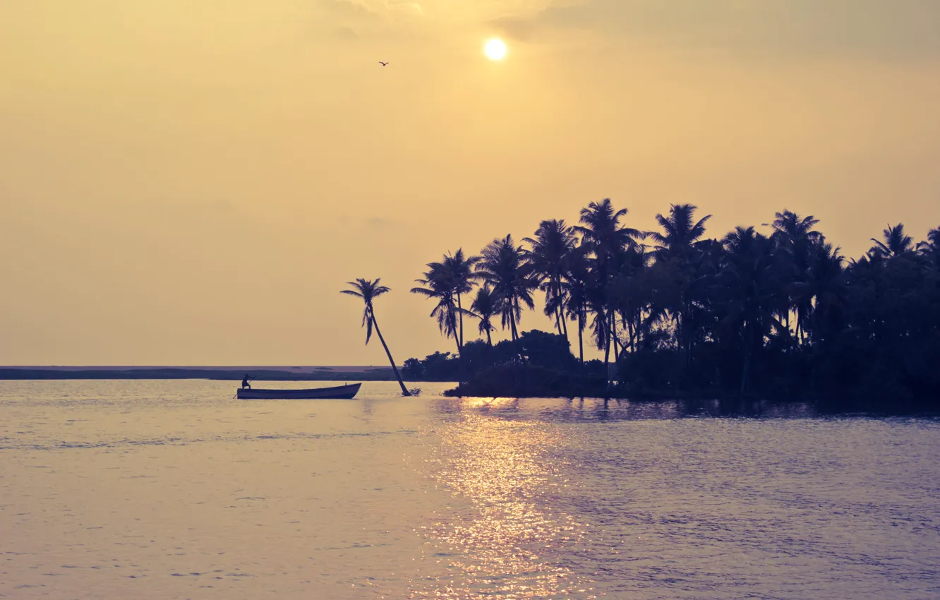 Photo wallpaper the sun, palm trees, shore, boat, India, Kerala