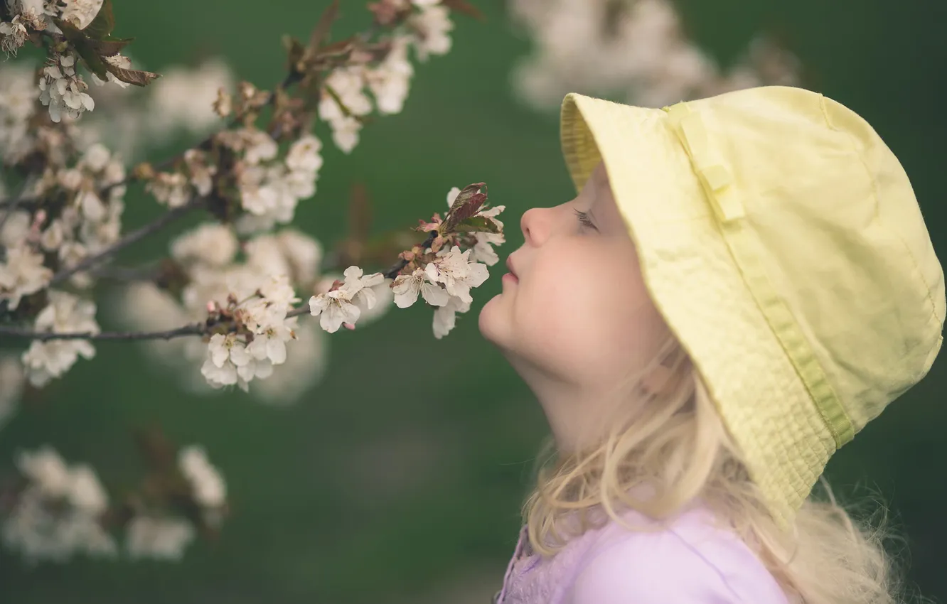 Photo wallpaper spring, girl, flowering, Panama