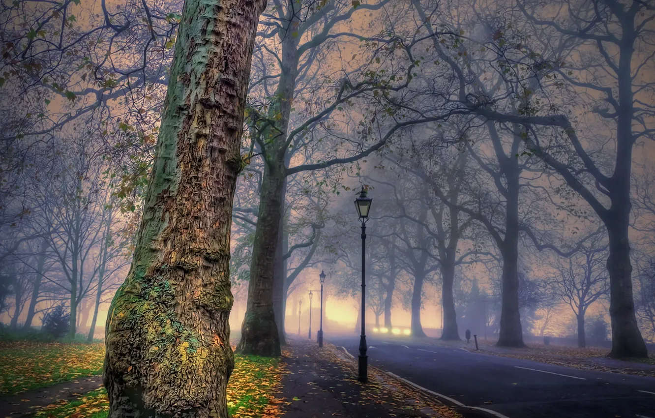 Photo wallpaper the city, fog, Park