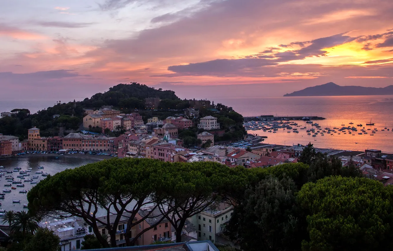 Photo wallpaper sea, the sky, trees, the city, dawn, coast, home, boats