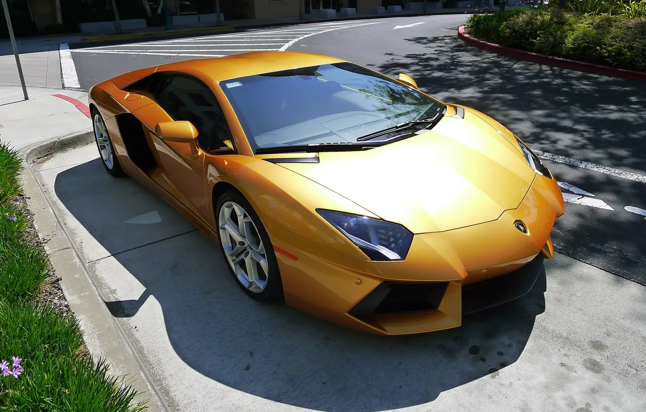 Photo wallpaper road, yellow, markup, shadow, Lamborghini, side view, yellow, LP700-4