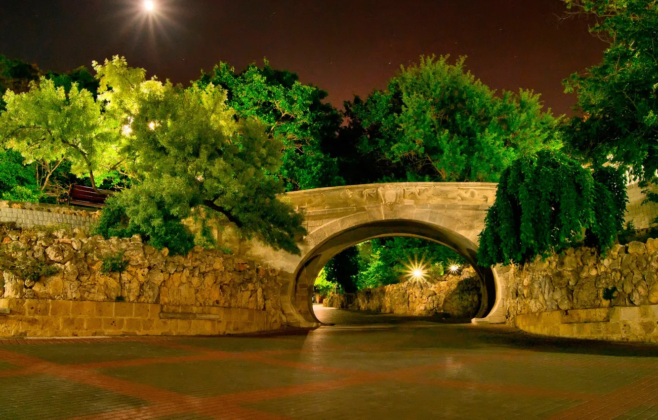 Photo wallpaper trees, night, bridge, Park