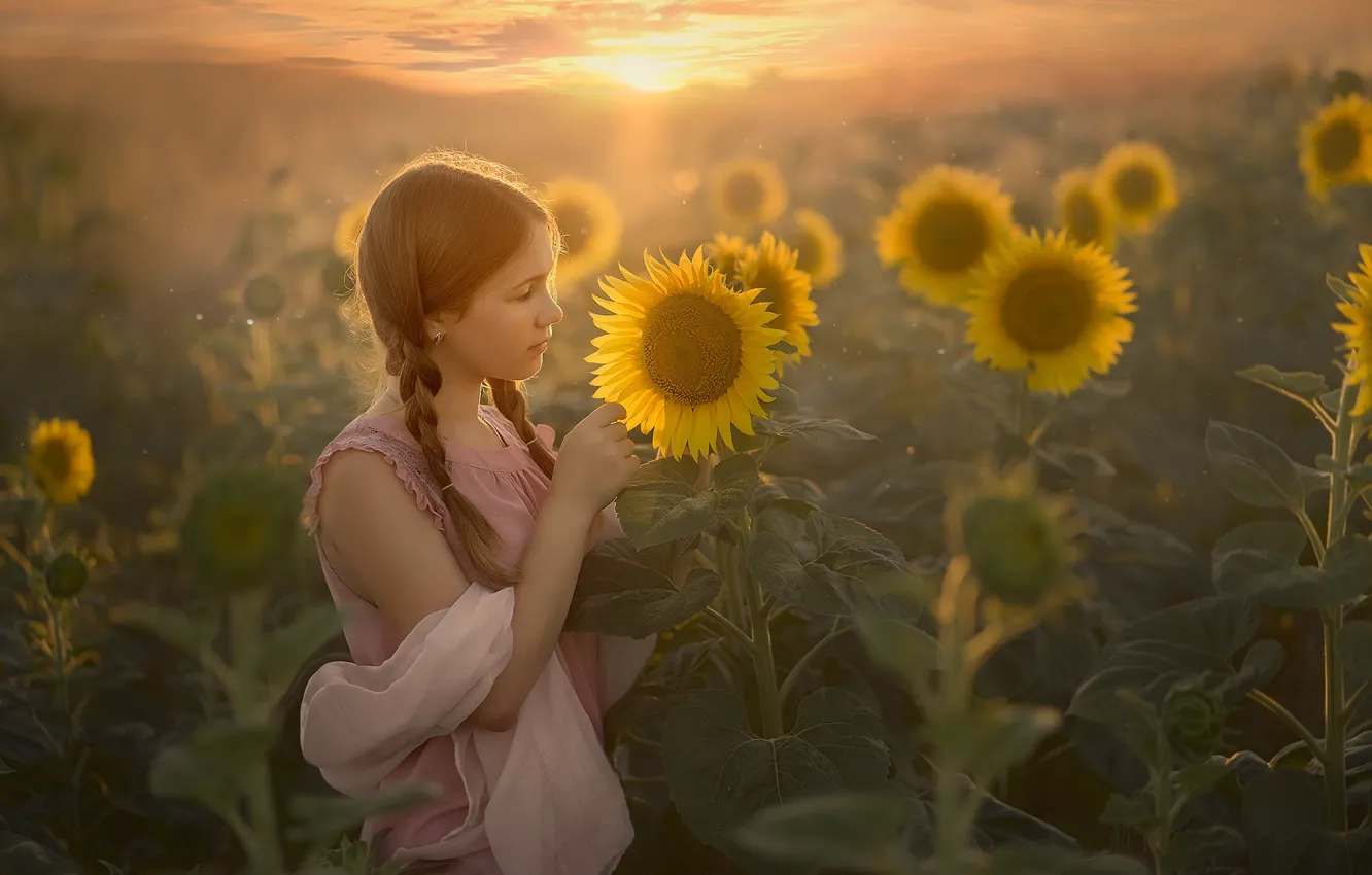 Photo wallpaper summer, sunflowers, girl