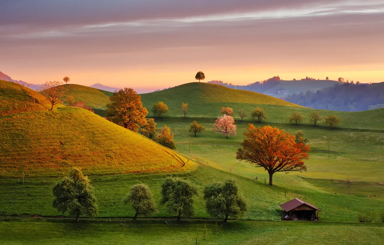 Photo wallpaper trees, field, Switzerland, house, Fairytale Morning