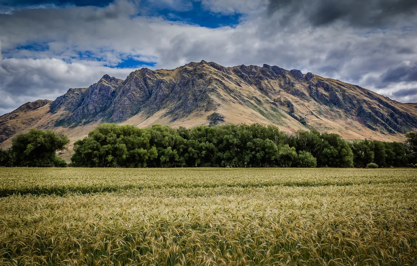 Photo wallpaper field, grass, clouds, mountains, grass, mountains, clouds, fields