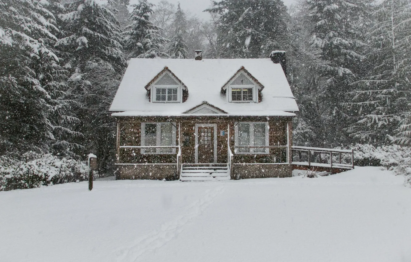Photo wallpaper winter, house, house, snowfall, winter, Snow trees, winter forest, snowfall