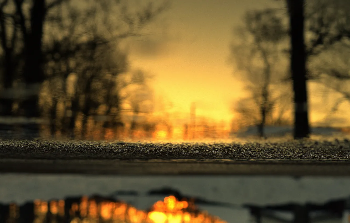 Photo wallpaper winter, asphalt, trees, reflection, puddle, sunset, depth of field