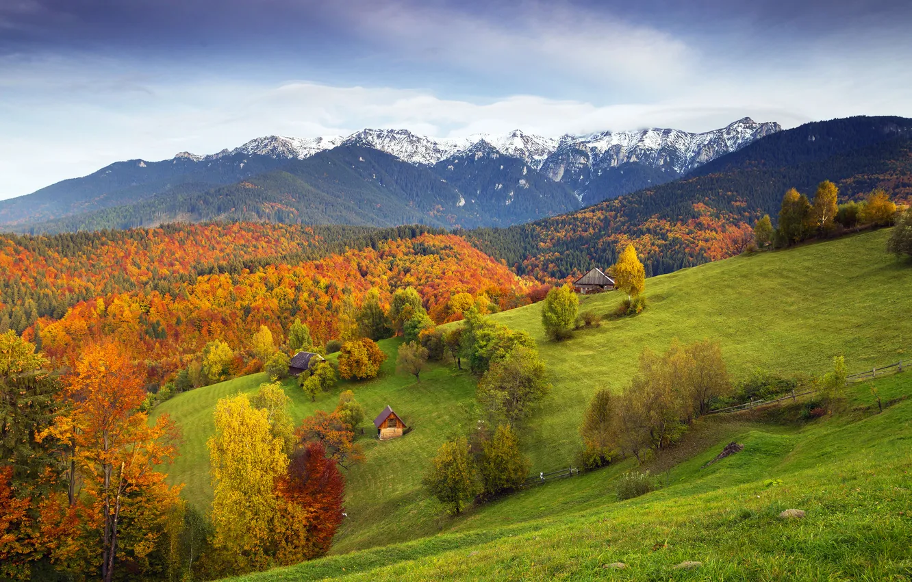 Photo wallpaper autumn, forest, mountains, nature