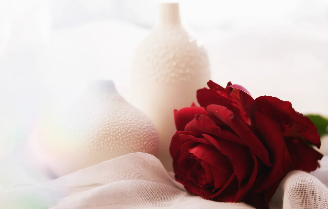 Photo wallpaper flowers, roses, composition