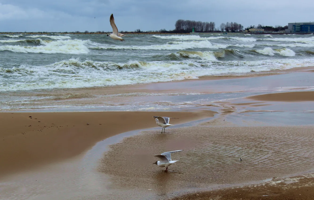 Photo wallpaper beach, sea, water