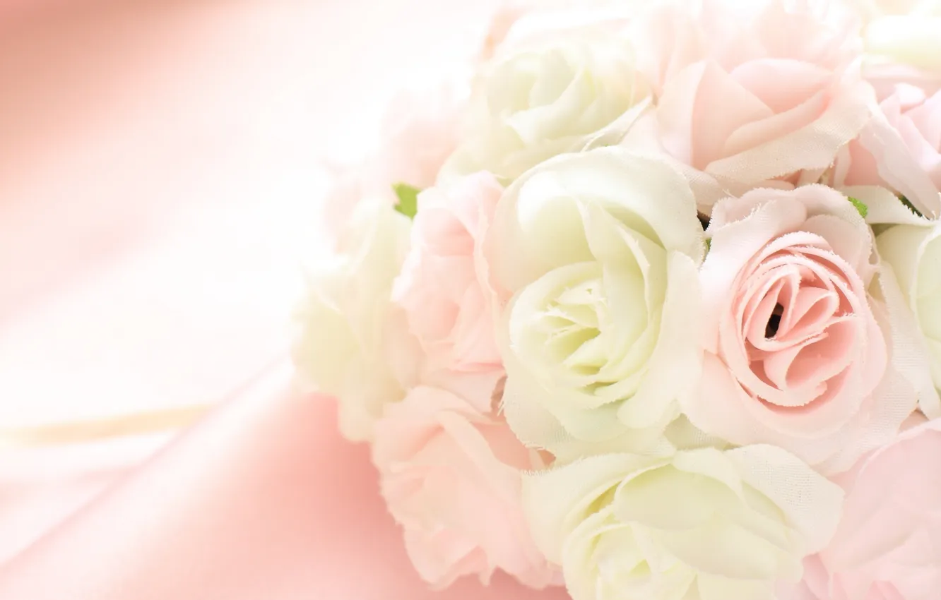 Photo wallpaper flowers, petals, fabric, fringe