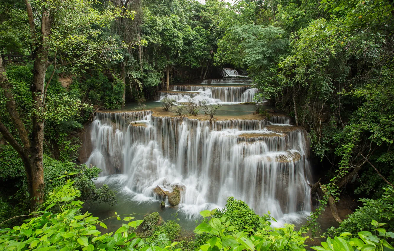 Photo wallpaper greens, forest, trees, stones, waterfall, Thailand, cascade, the bushes