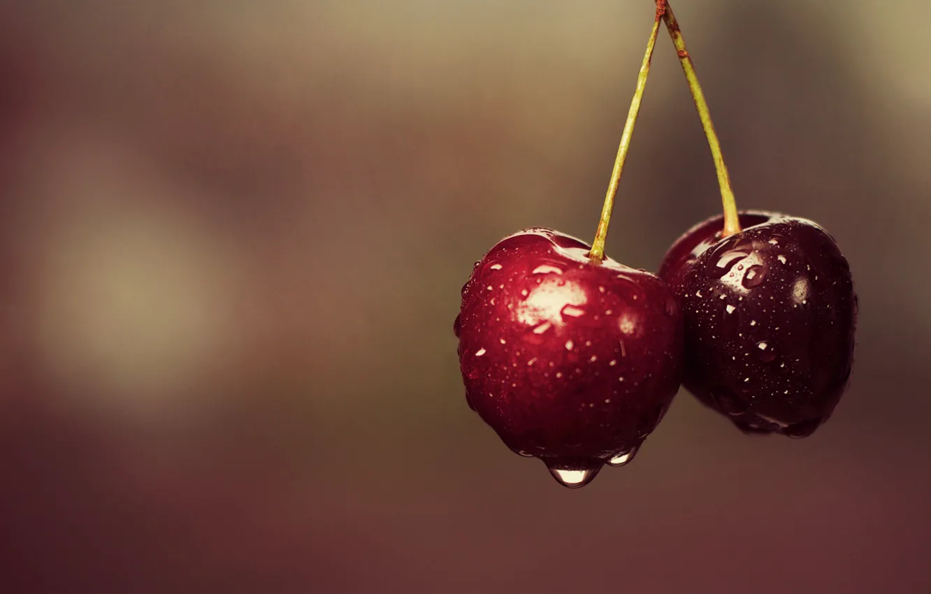 Photo wallpaper cherry, two, food, berry, cherry