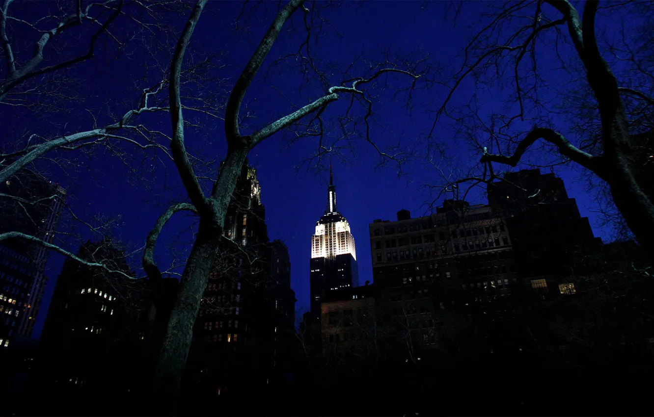 Photo wallpaper night, lights, New York, USA, The Empire state building