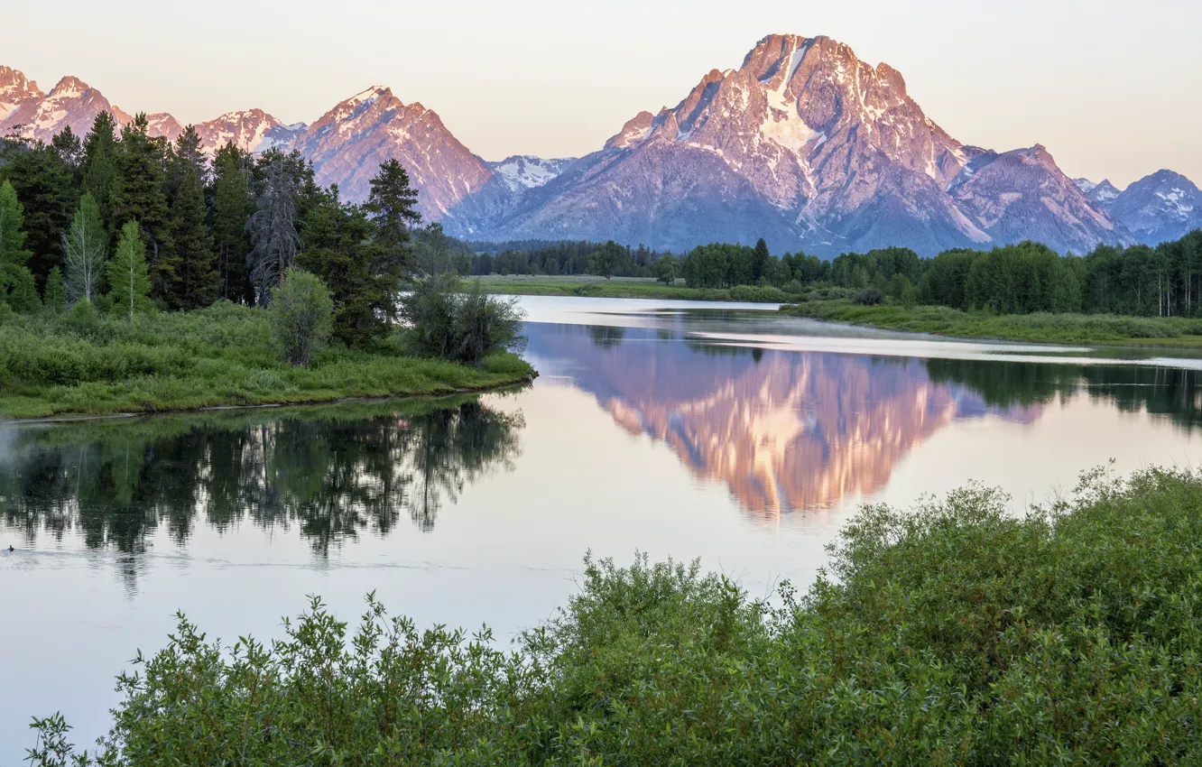Photo wallpaper forest, mountains, river, morning, Wyoming, USA, USA, national Park