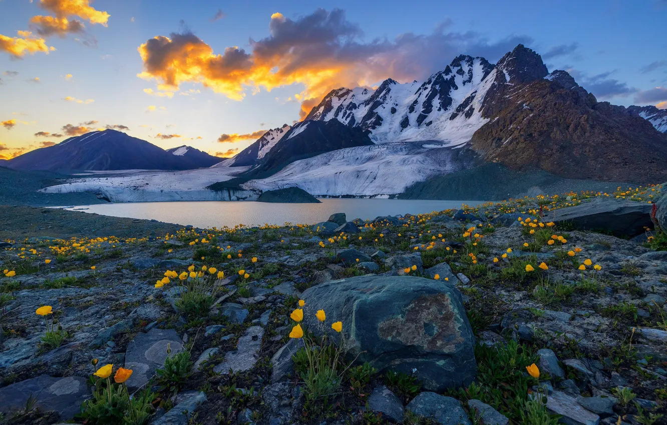 Photo wallpaper snow, flowers, mountains, stones, pond