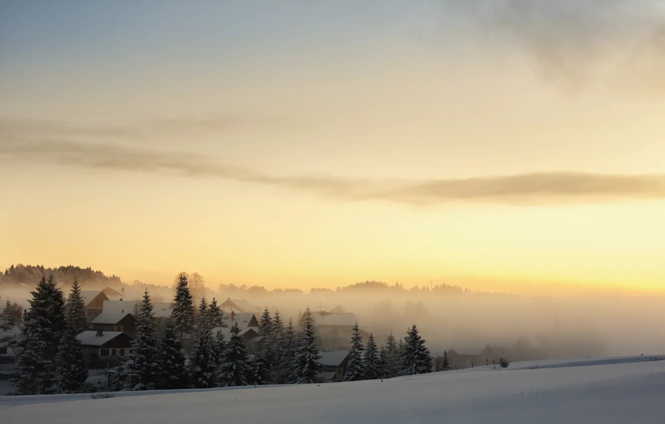Photo wallpaper winter, forest, snow, fog, dawn, home, morning, ate