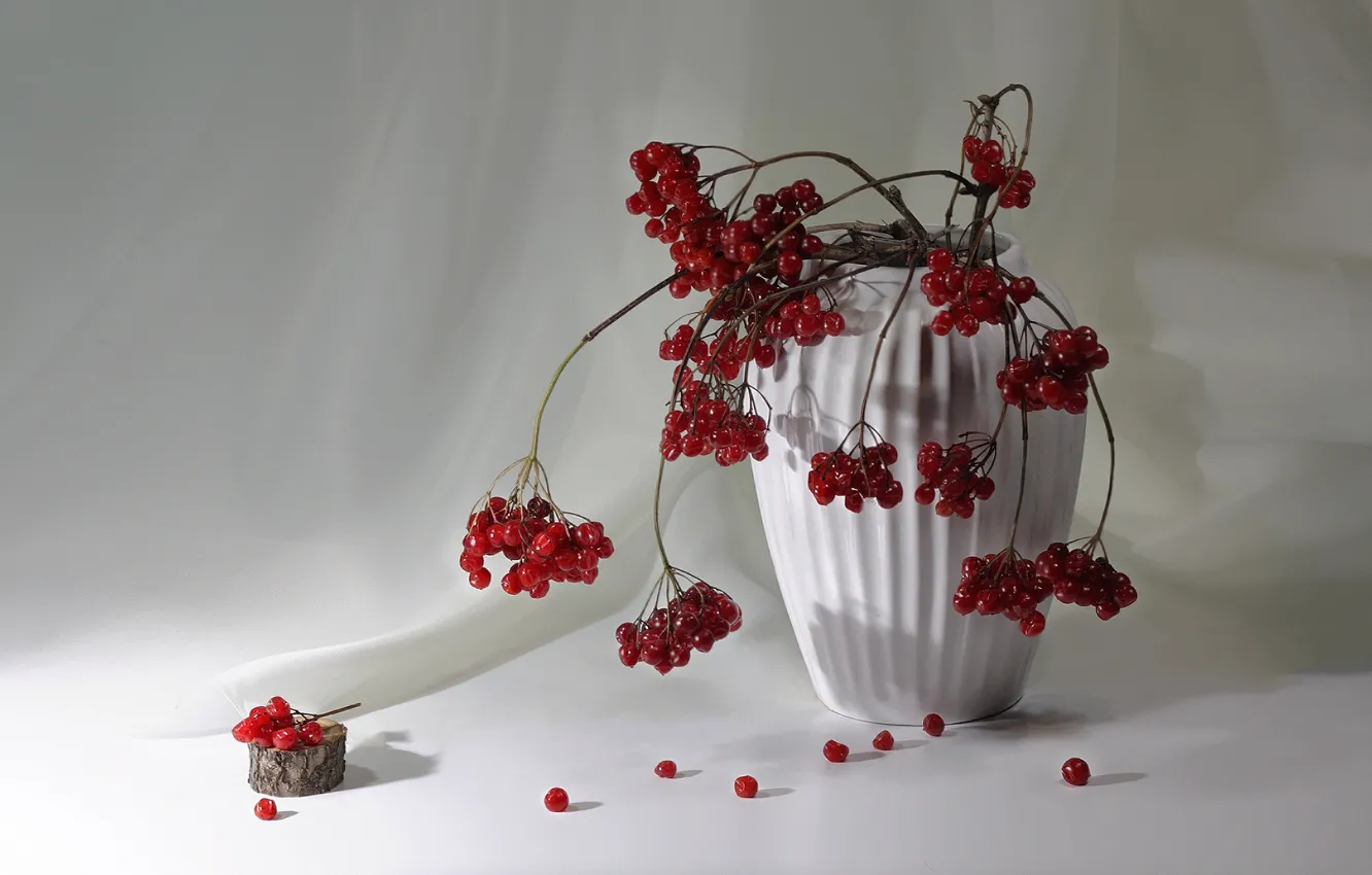 Photo wallpaper berries, bouquet, still life, Kalina