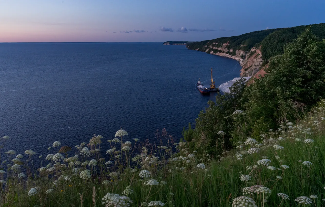 Photo wallpaper sea, grass, landscape, nature, coast