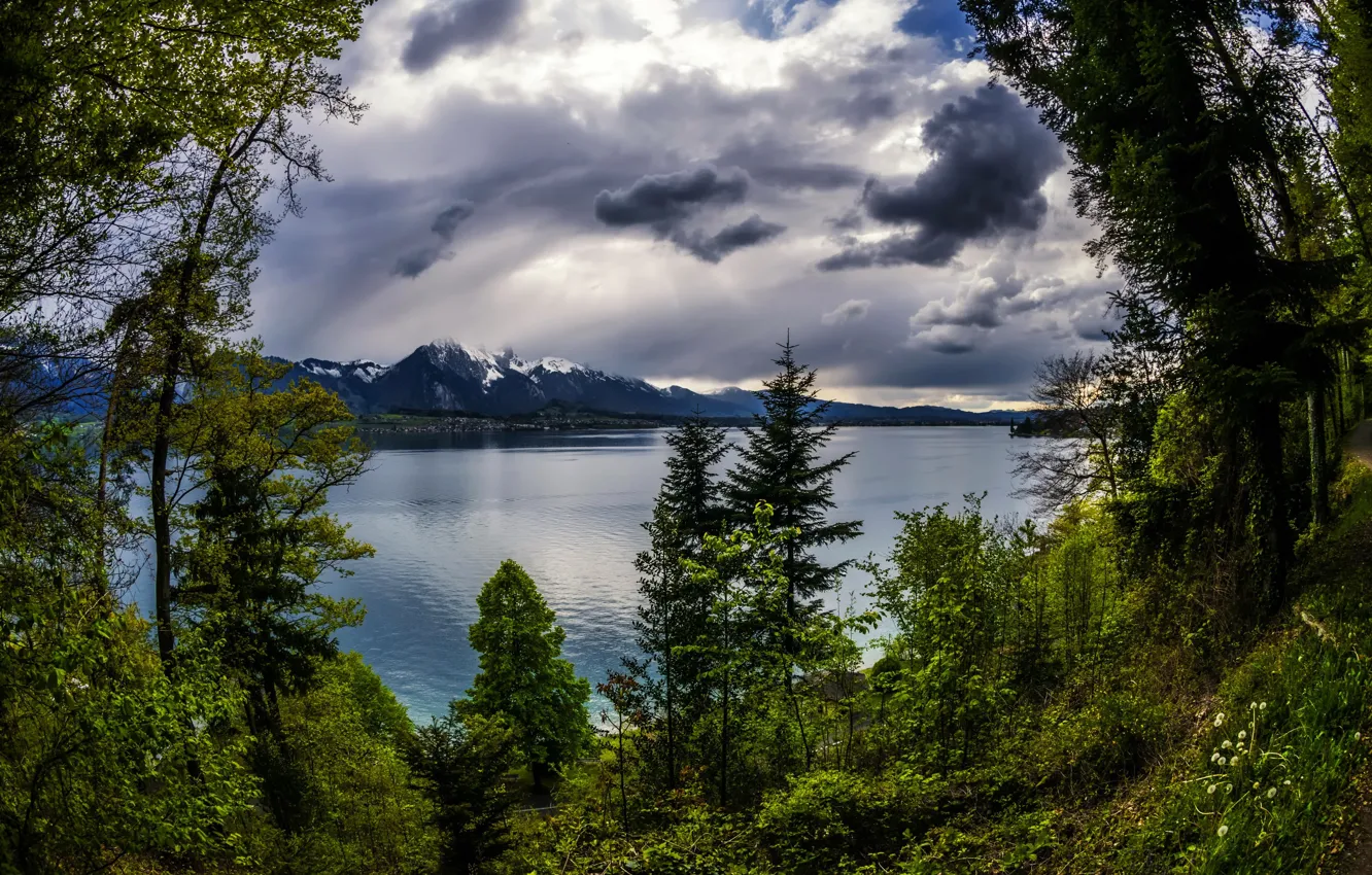 Photo wallpaper clouds, trees, mountains, lake, Switzerland, Tun