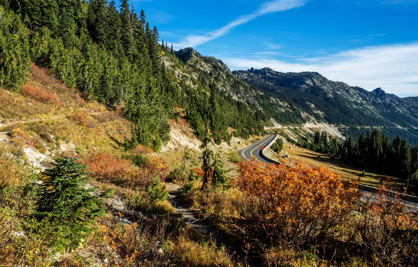 Photo wallpaper road, autumn, forest, trees, mountains, slope, highway, USA