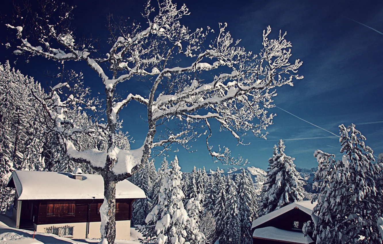 Photo wallpaper winter, snow, trees, nature, Switzerland, ate, houses, Switzerland