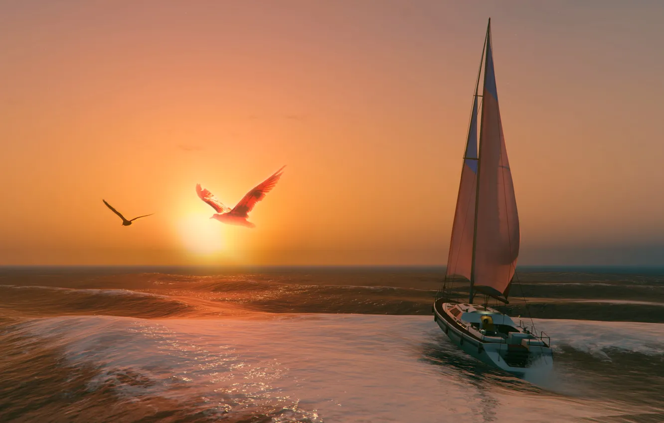 Photo wallpaper the sun, romance, seagulls, the evening, sail