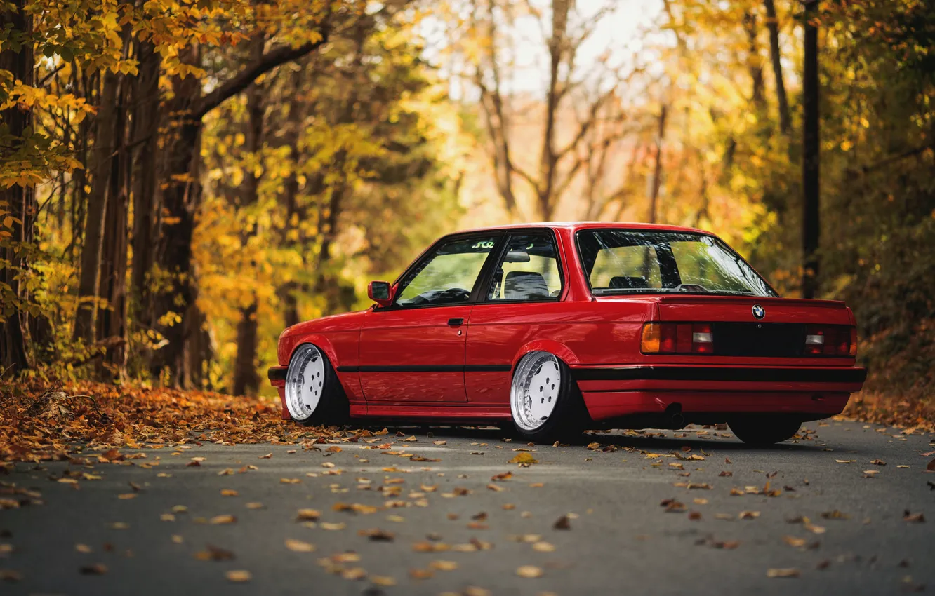 Photo wallpaper road, autumn, forest, leaves, BMW, E30
