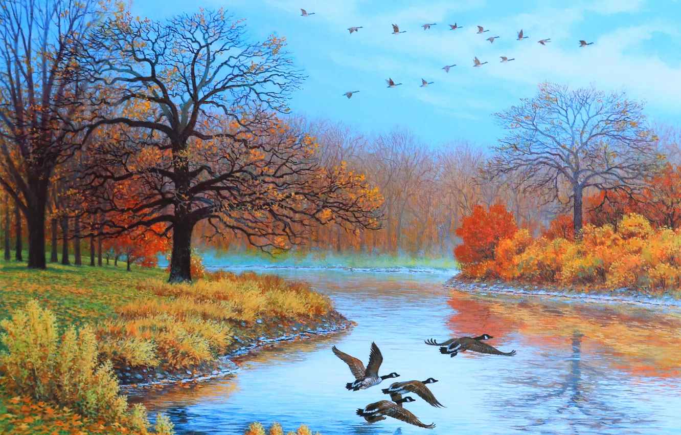Photo wallpaper autumn, trees, landscape, birds, river, duck, picture