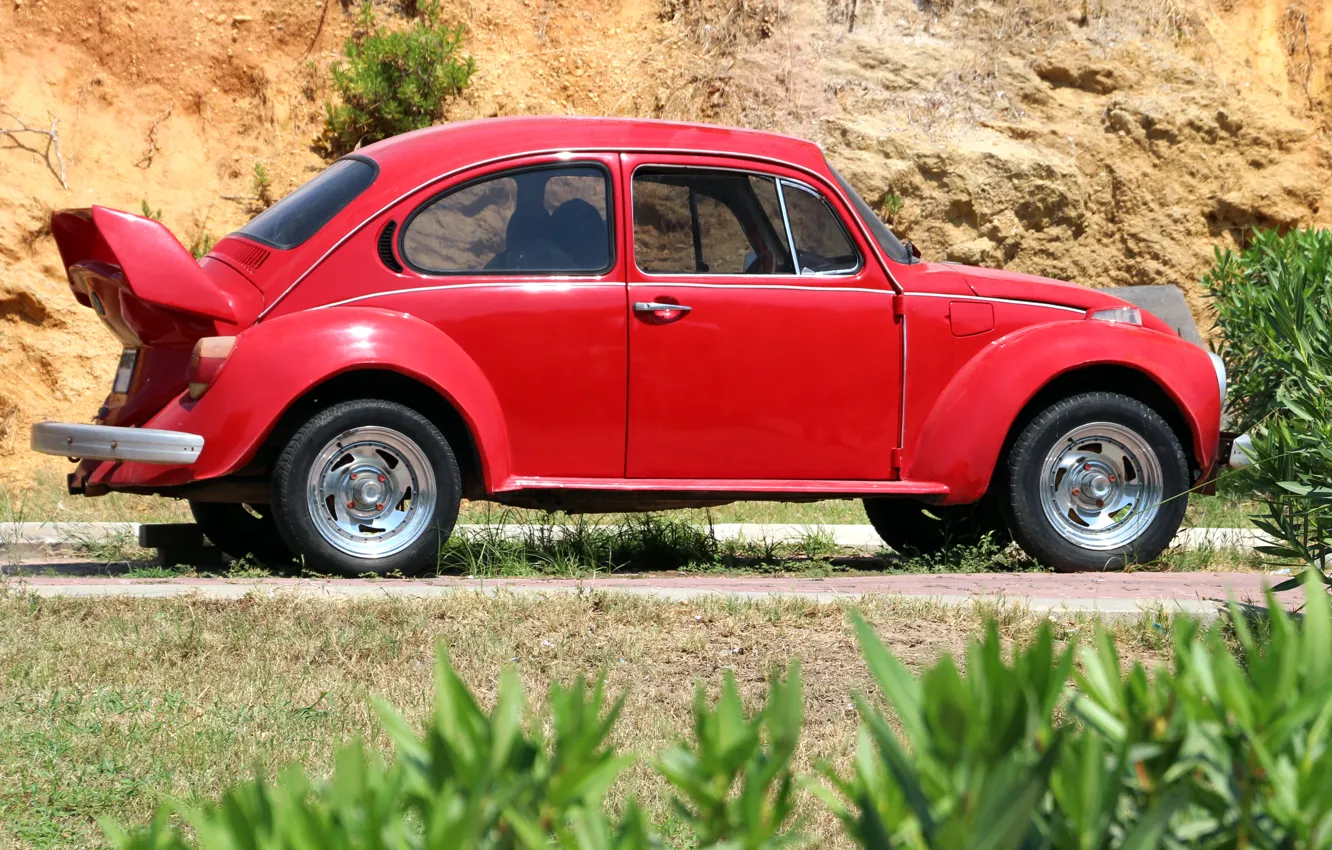Photo wallpaper machine, beetle, car, red, the bushes, Volkswagen, Volkswagen Beetle