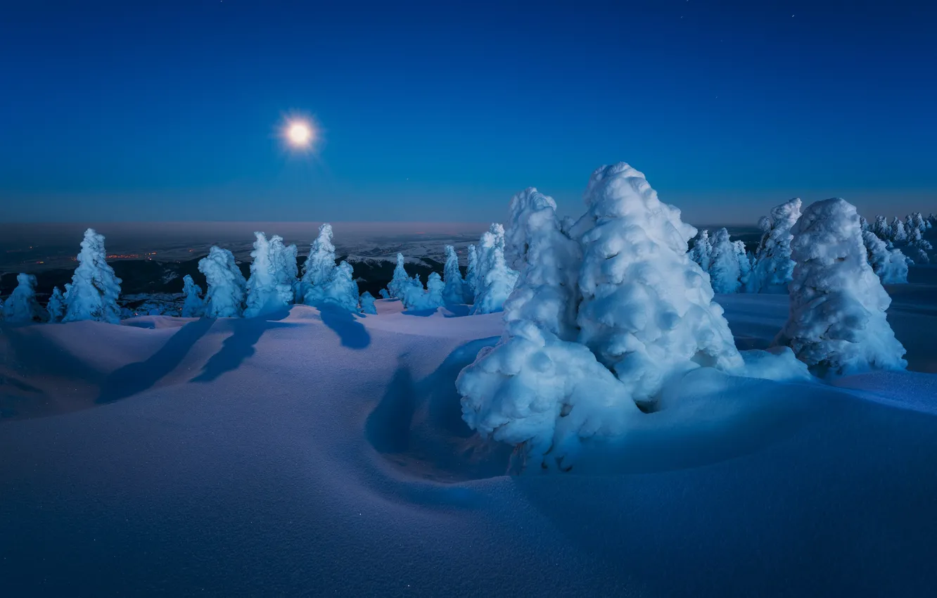 Photo wallpaper winter, snow, trees, landscape, night, nature, the moon, ate