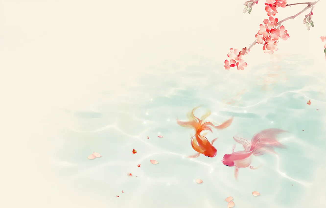 Photo wallpaper water, pond, mood, branch, Sakura, goldfish