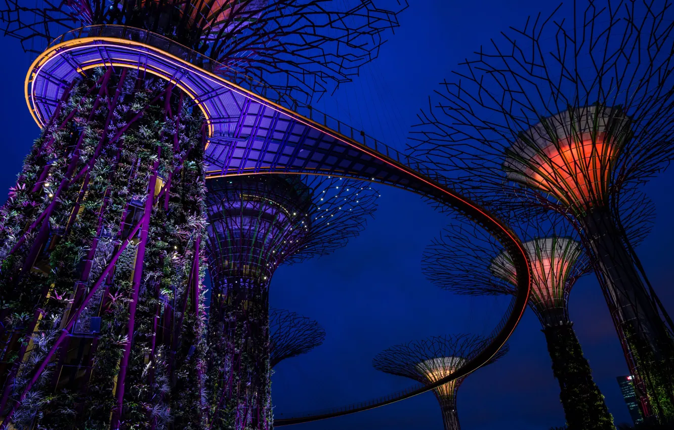 Photo wallpaper night, design, lights, design, Singapore, tower, gardens, Gardens by the Bay