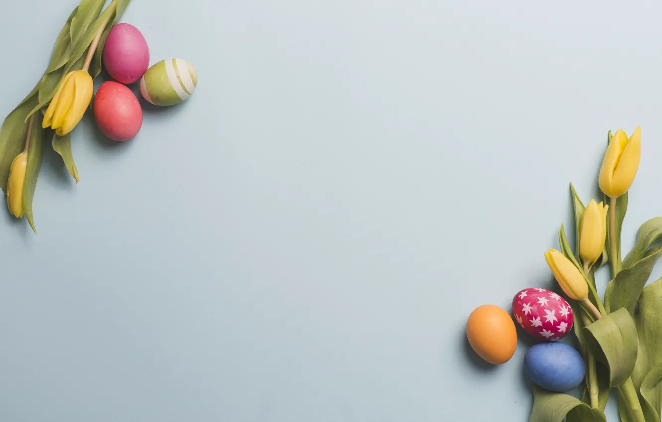 Photo wallpaper flowers, yellow, spring, Easter, tulips, yellow, flowers, tulips