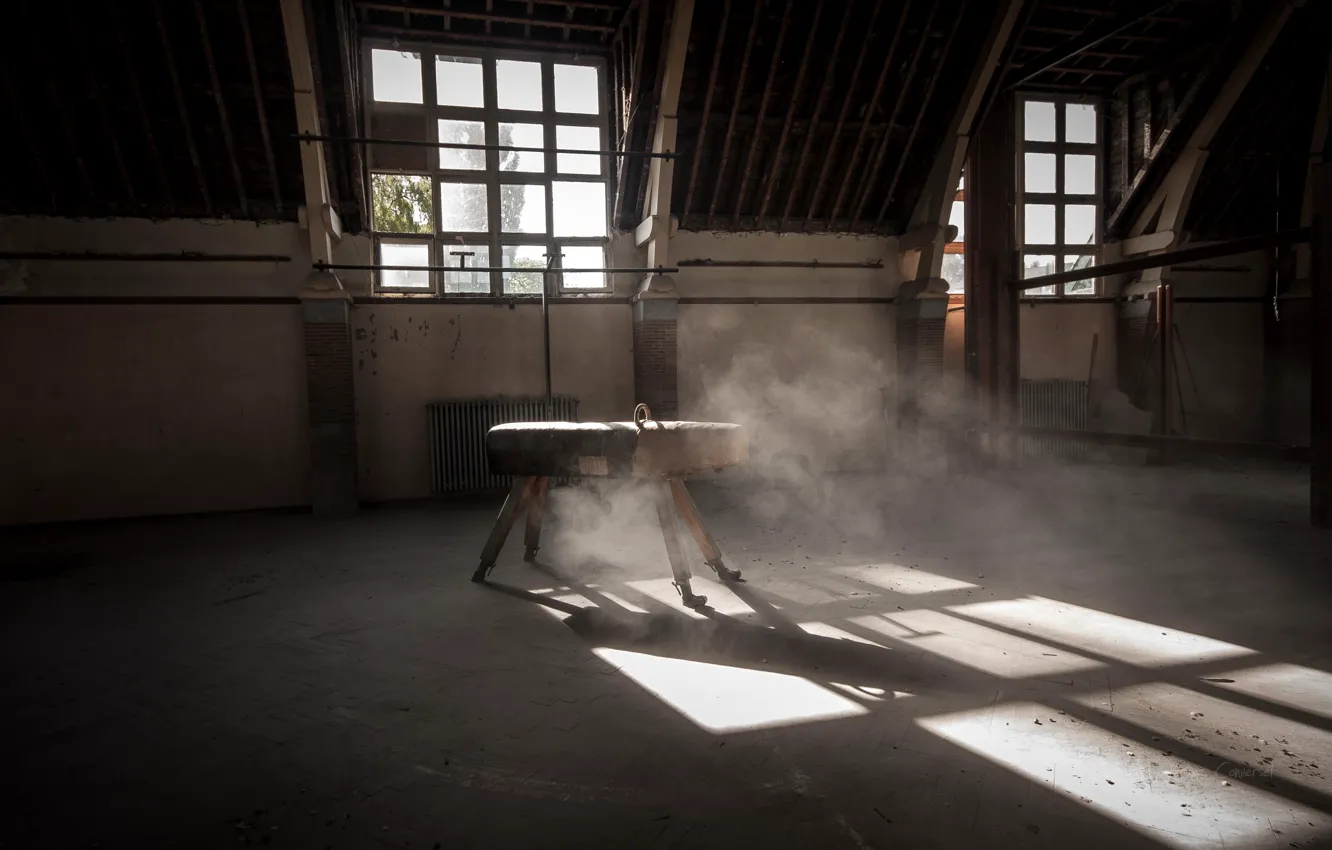 Photo wallpaper horse, sport, hall