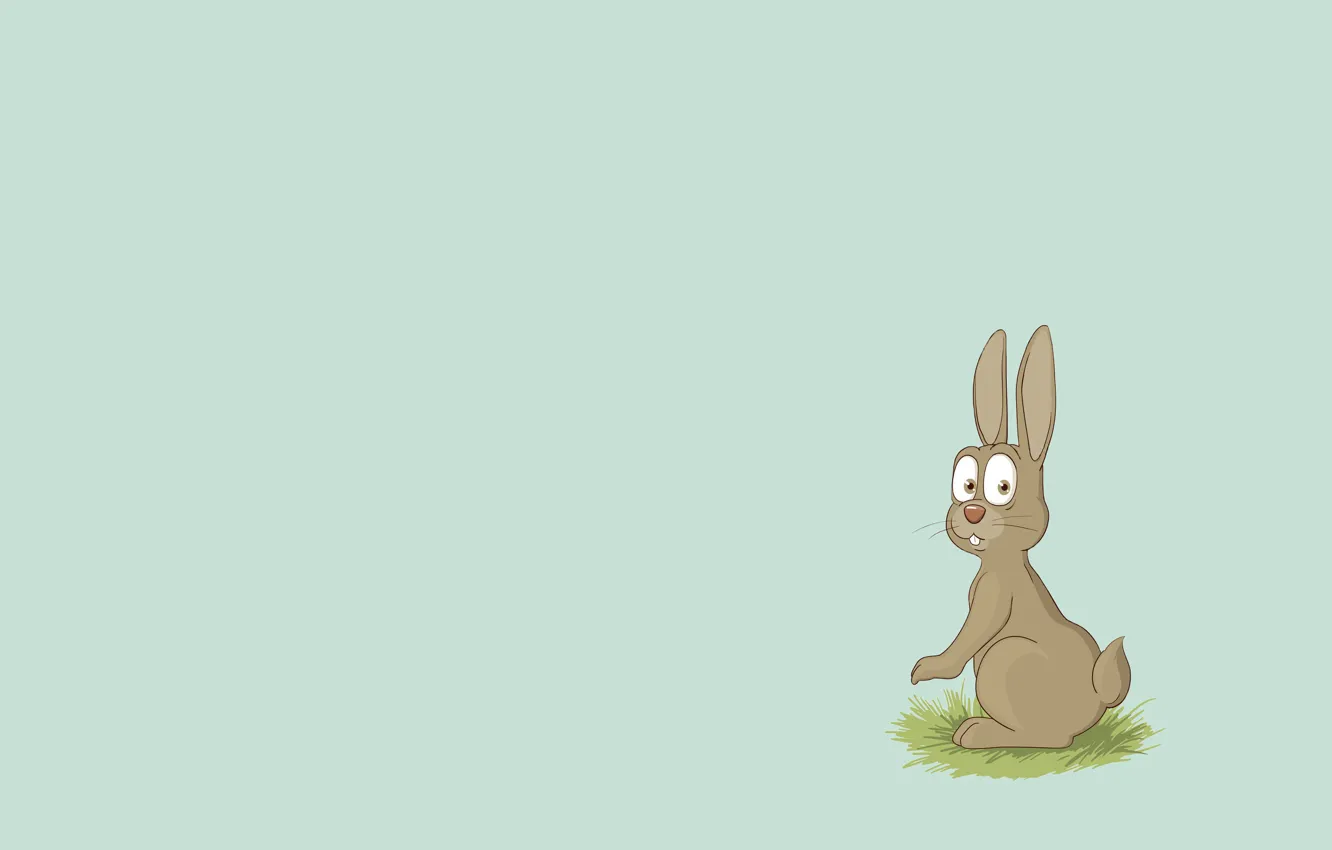 Photo wallpaper animal, hare, minimalism, rabbit, rabbit, soup